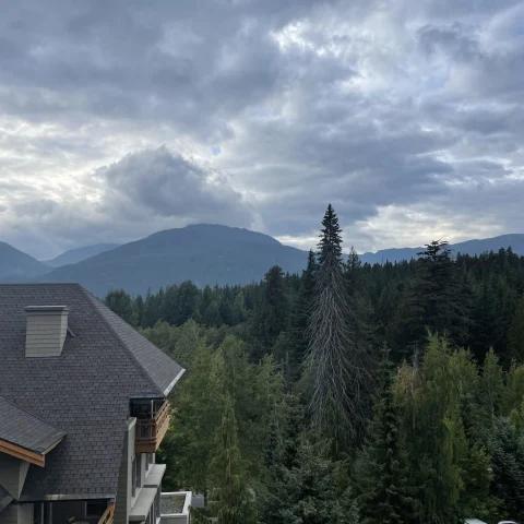 A view of a resort balcony, pine trees and a mountain in the distance on a cloudy day.