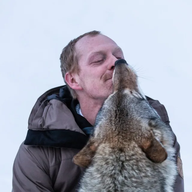 Travel Advisor Hilary Herscher receives a kiss from a rescued wolf at a sanctuary in Bardu, Norway. 
