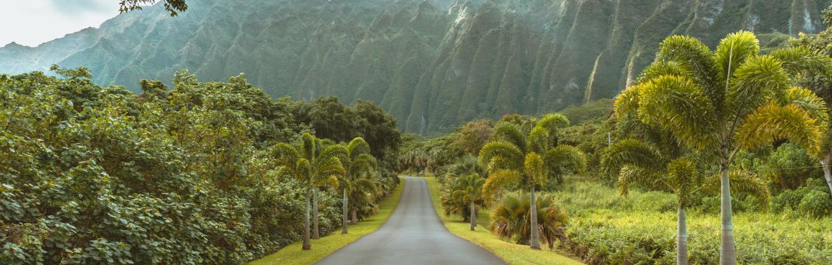 Concrete road leading to mountains and jungle in Oahu.