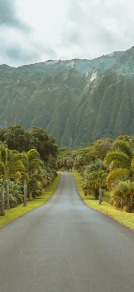 Concrete road leading to mountains and jungle in Oahu.