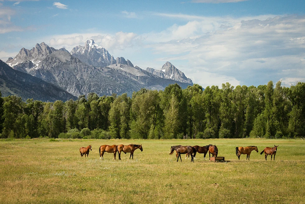 Family Travel to Jackson Hole and Yellowstone - Day 6: Active adventures