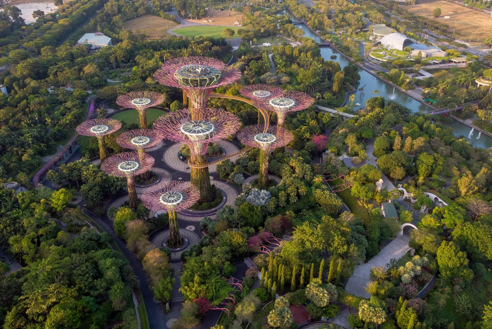Aerial view of trees and sculptures during daytime