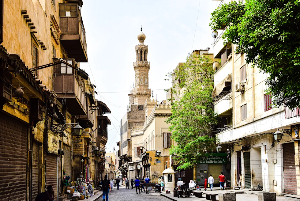 narrow cobblestone street in historic city with trees 