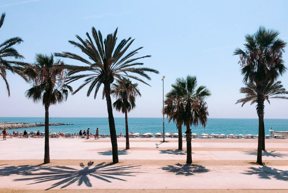 A beach view with people walking on the shore in daytime.