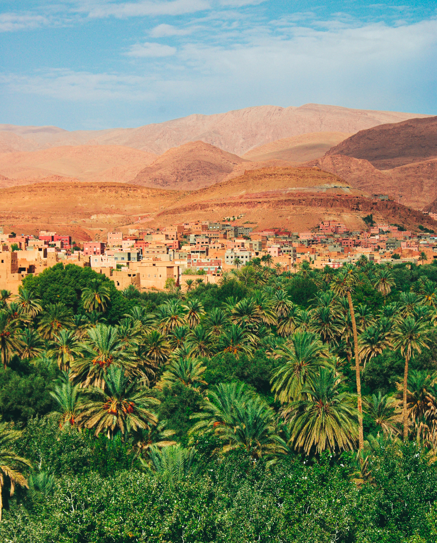 Green plants with houses and desert in the background during daytime