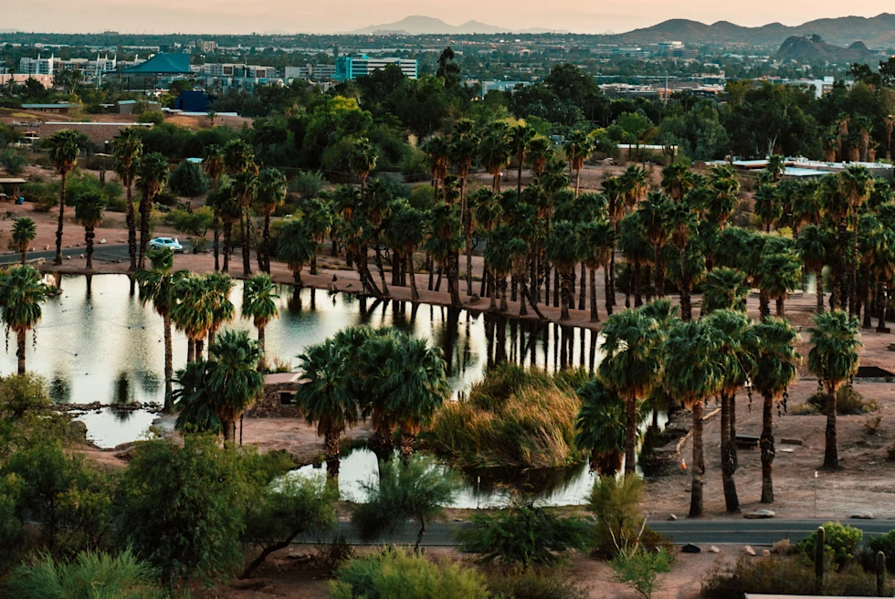 Lake surrounded by trees and city at distance