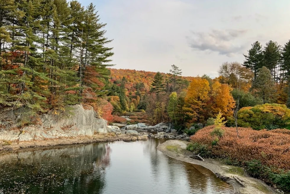 Green beautiful vermont lake