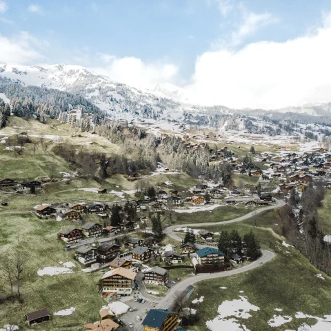 aerial view of a grassy town dotted with houses amidst snowy mountains