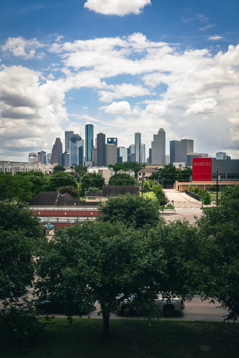 Houston panorama and park.