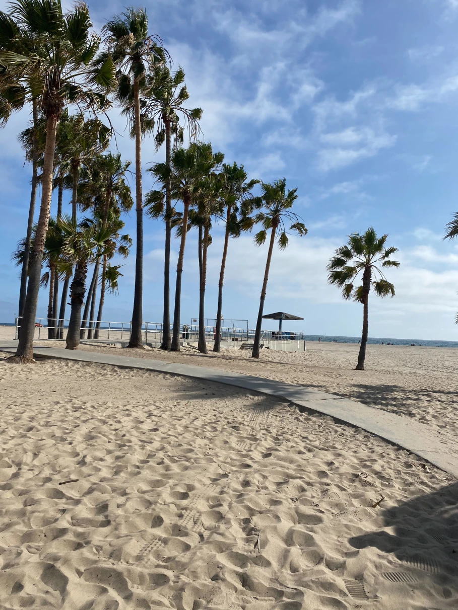 Beautiful Beach in LA