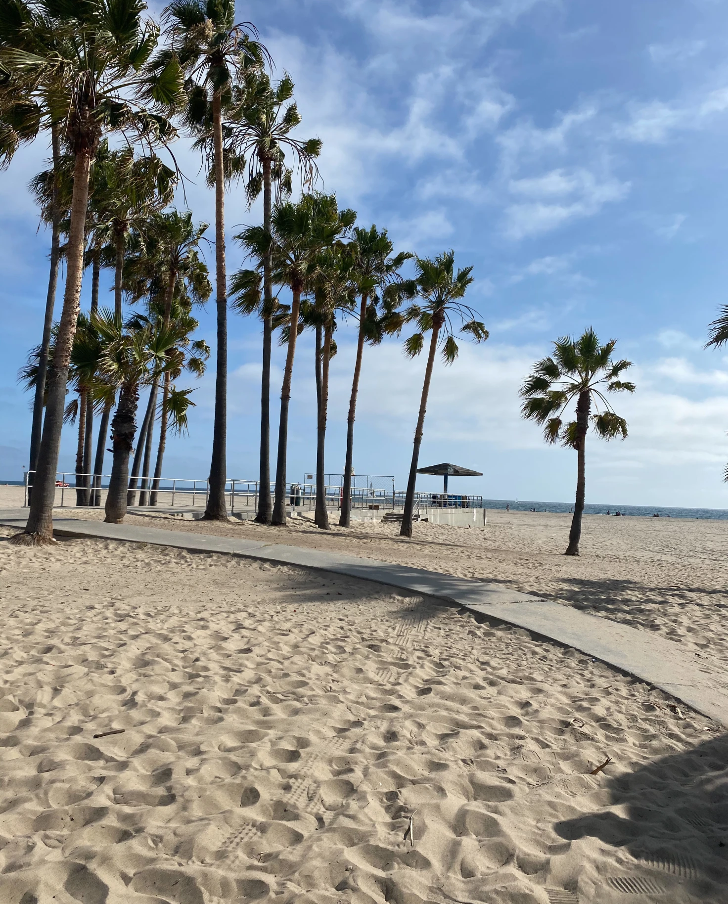 Beautiful Beach in LA