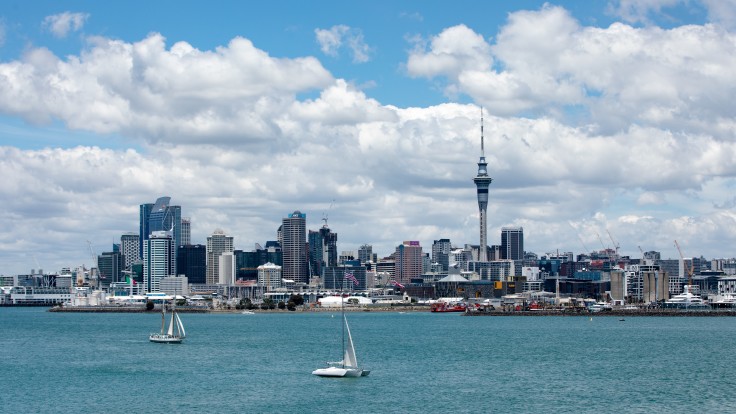 Experiencing Auckland, New Zealand  curated by Rebecca Dangler