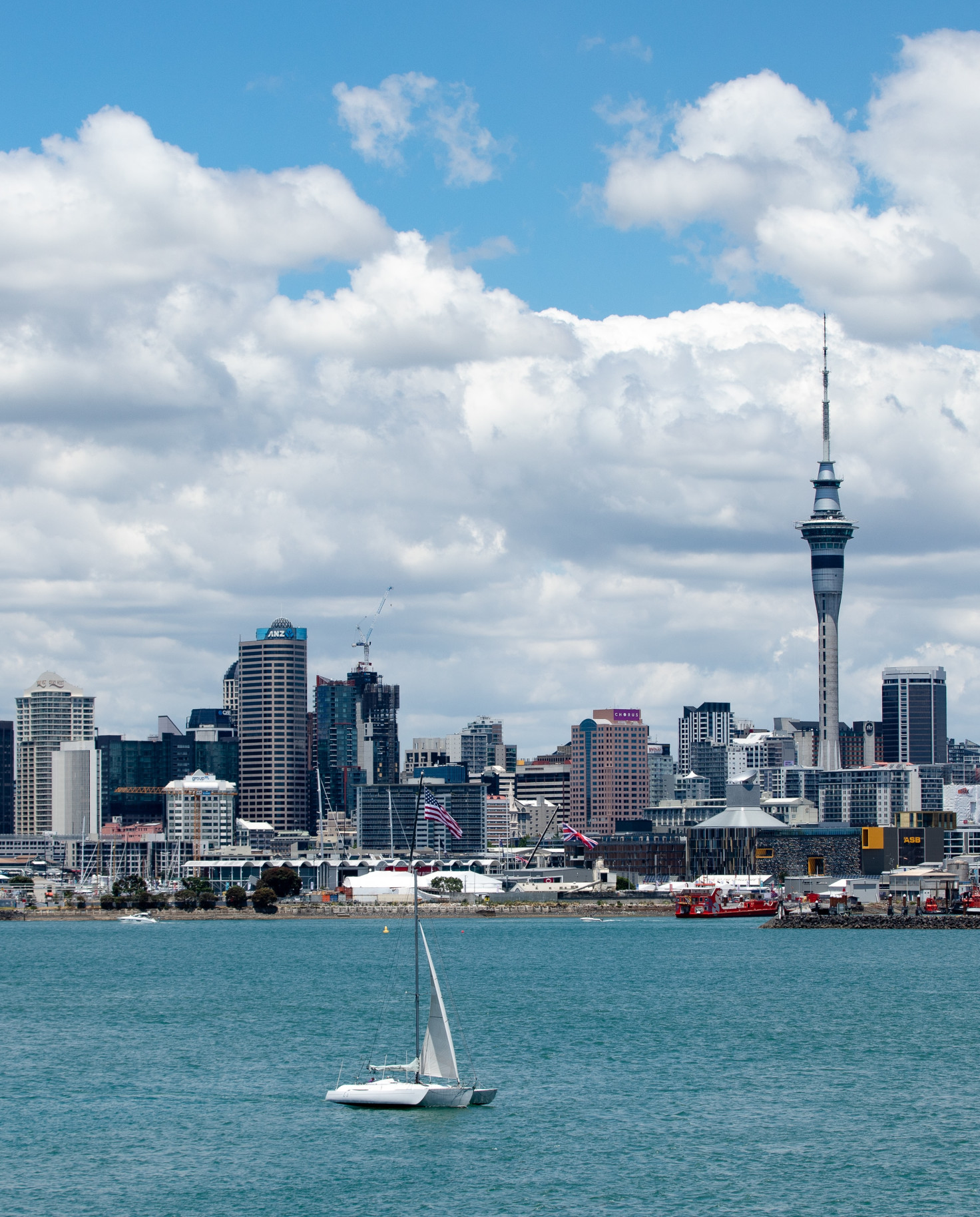 Advisor - Experiencing Auckland, New Zealand 