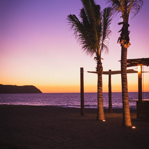 purple and yellow sunset on a beach with palm trees 