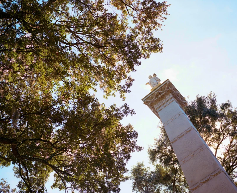 looking up at trees and white statue on a column