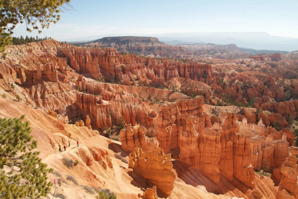  Bryce Canyon National Park in Utah having landscape that seems like forest of rocks. 