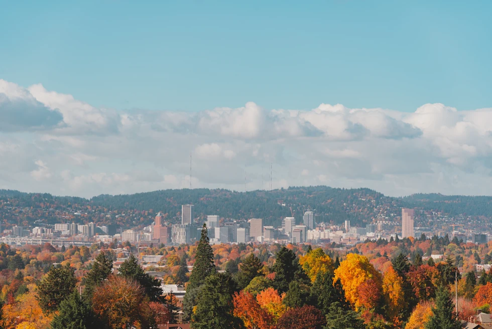 city skyline with trees and mountains