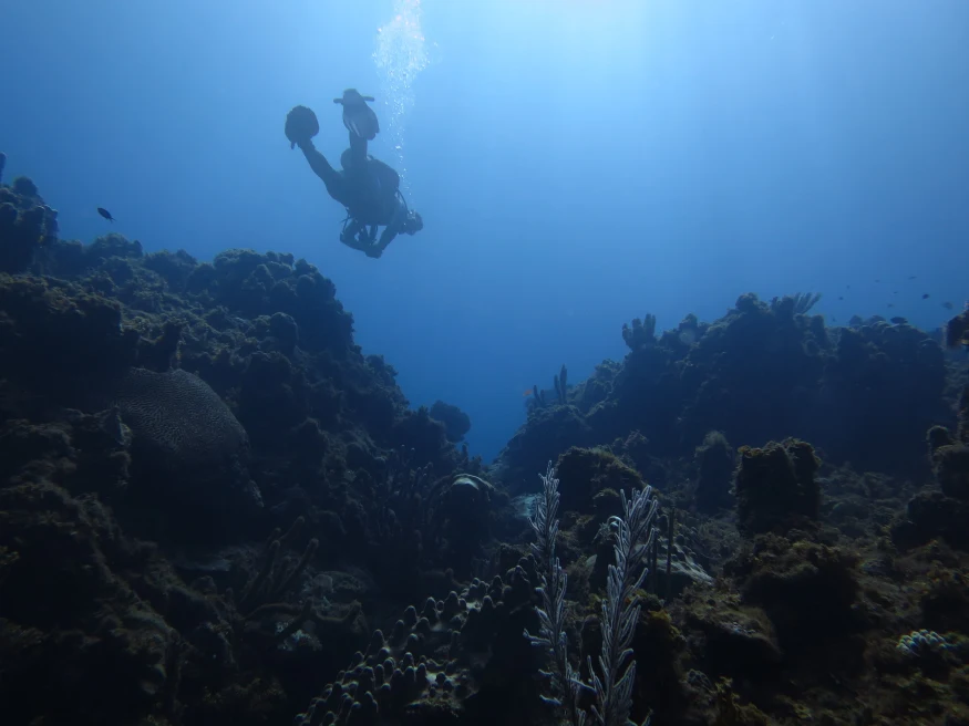 A diver in the distance under deep blue water with white bubbles coming from mask and large flippers with a dark coral reef 