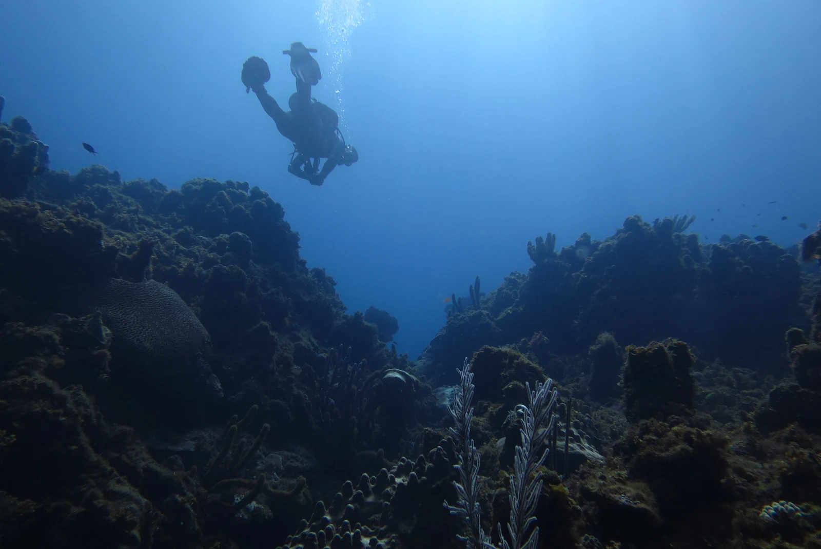 A diver in the distance under deep blue water with white bubbles coming from mask and large flippers with a dark coral reef 