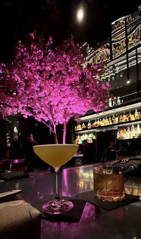 A picture of a drink served at a restaurant with trees lit with pink lights at night