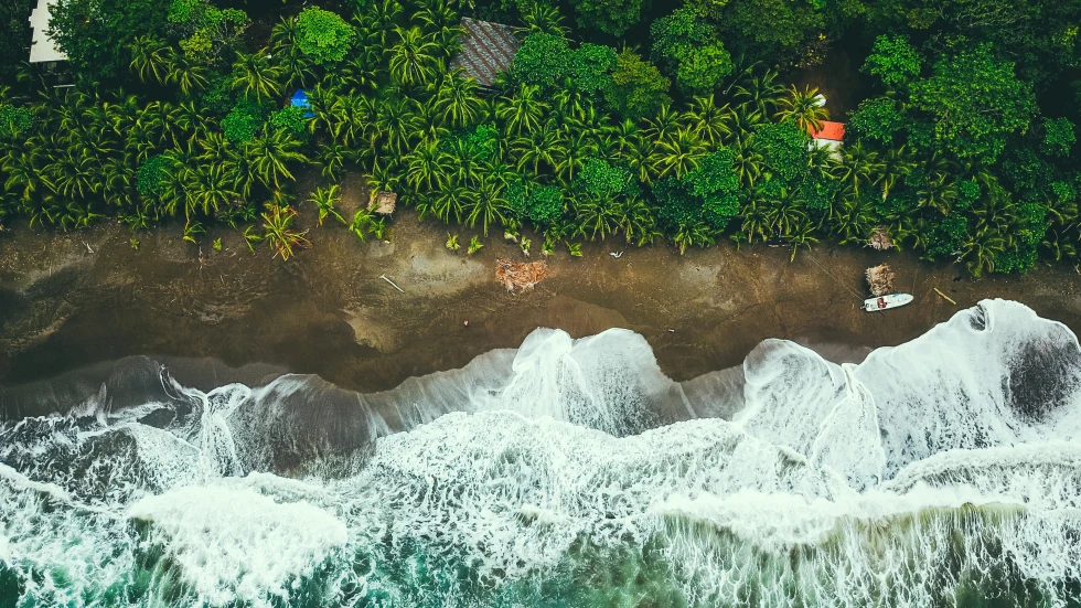 Aerial view of the coast in Panama with green trees and wet sand meeting the ocean