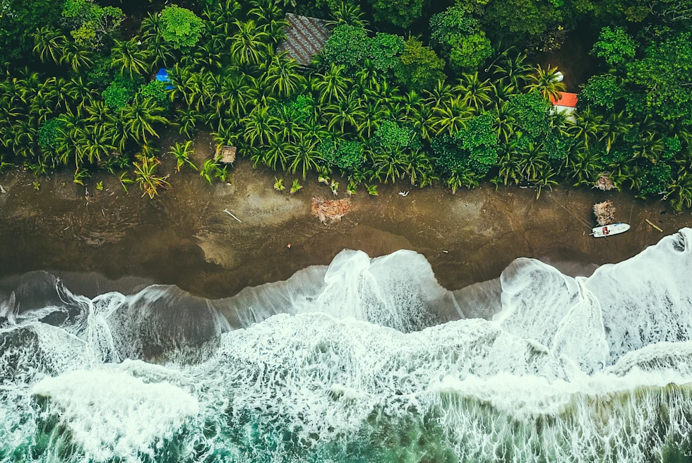 Aerial view of the coast in Panama with green trees and wet sand meeting the ocean