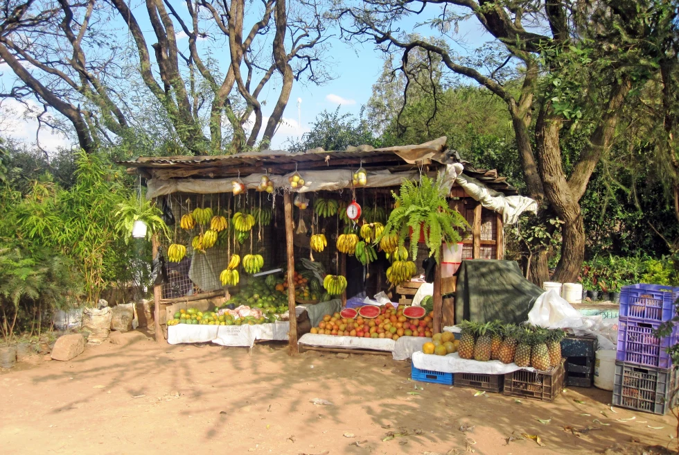 fruits hanging on a wooden structure during daytime