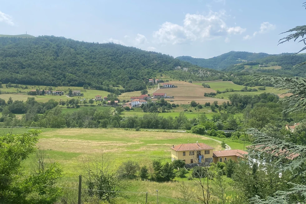 Treasured Towns and World Class Wines: 3 Days in Southern Piedmont - Day 3: Vineyards