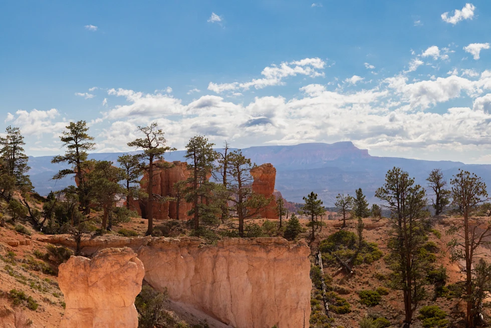 Orange rock formations with green trees on a sunny day