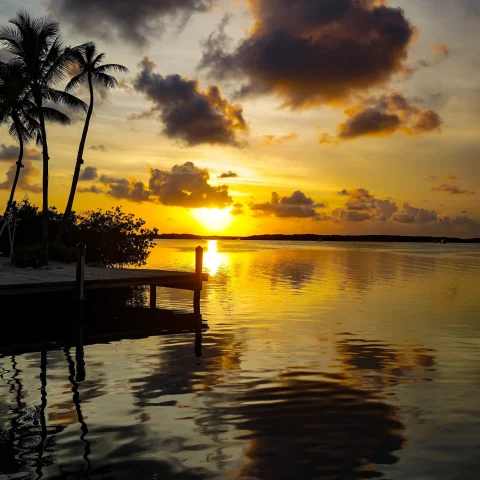 a beach at sunset with palm trees and reflective calm water 