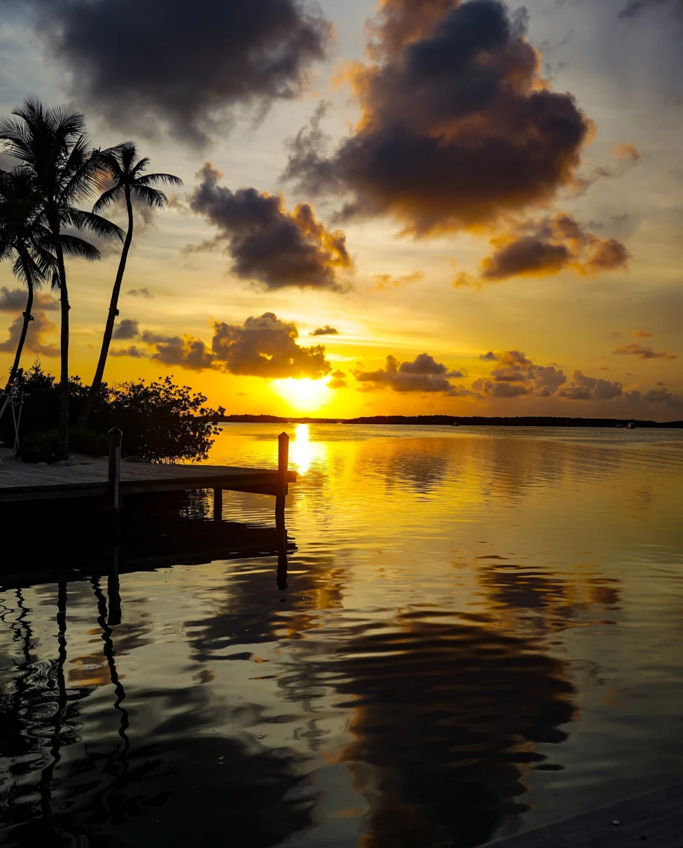 a beach at sunset with palm trees and reflective calm water 