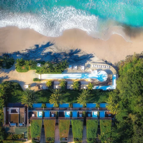 An arial view of the beach with palm trees on one side.