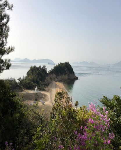 Advisor - The Culture Enthusiast’s Naoshima Travel Guide