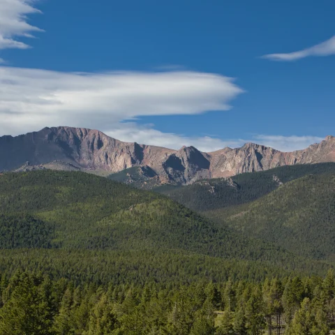 Green trees surrounded with mountains.