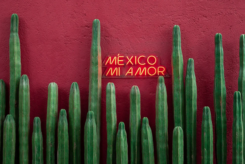 neon sign against red wall with tall green cactus in Mexico
