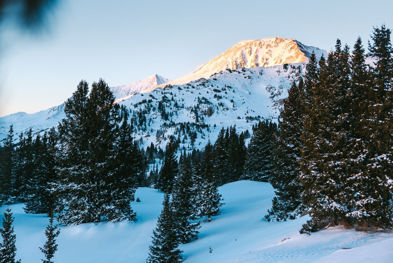 snowy mountain surrounded by trees during daytime