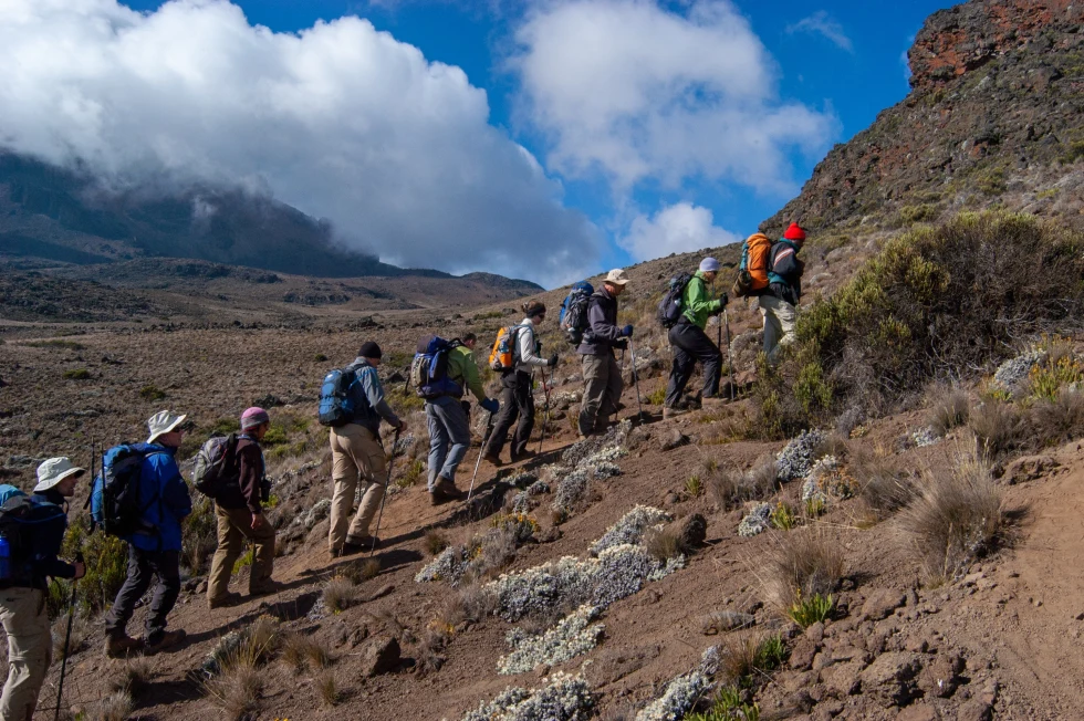 Nine hikers beginning to climb up mount kilimanjaro with backpacks walking sticks and walking on brown dirt