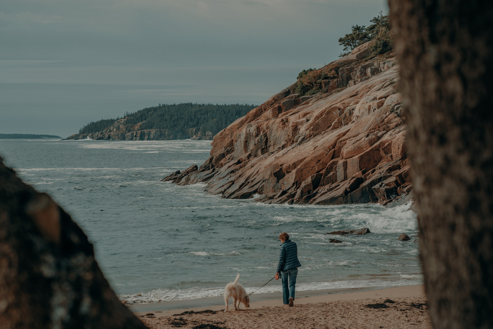 A person with a dog on the beach in Acadia. 
