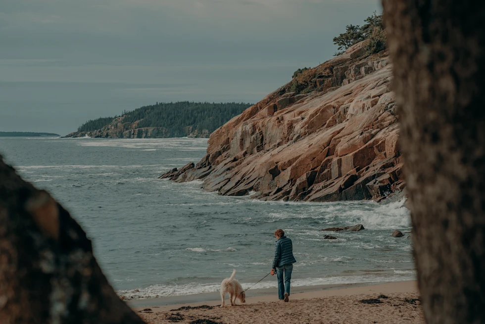 A person with a dog on the beach in Acadia.
