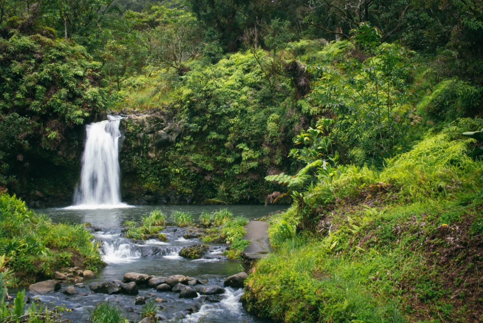 waterfall in tropics
