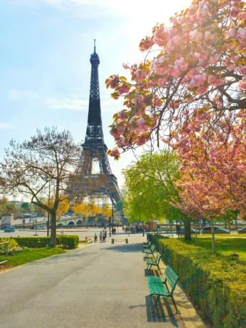 The Eiffel Tower beyond a sidewalk in Paris with an orange tree on one side.