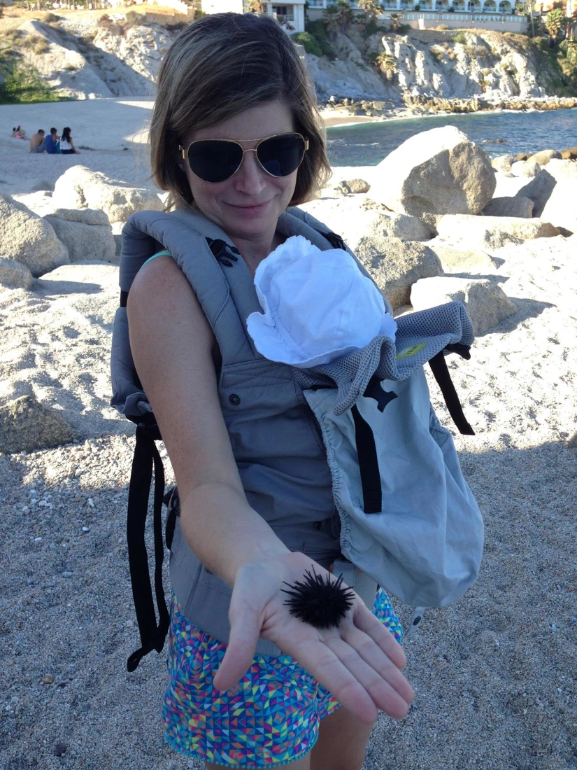 Travel advisor Jena Krinock with baby in sling on Cabo Bello beach showing a sea urchin in hand