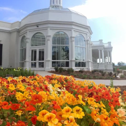 A white building with orange and red flowers in front