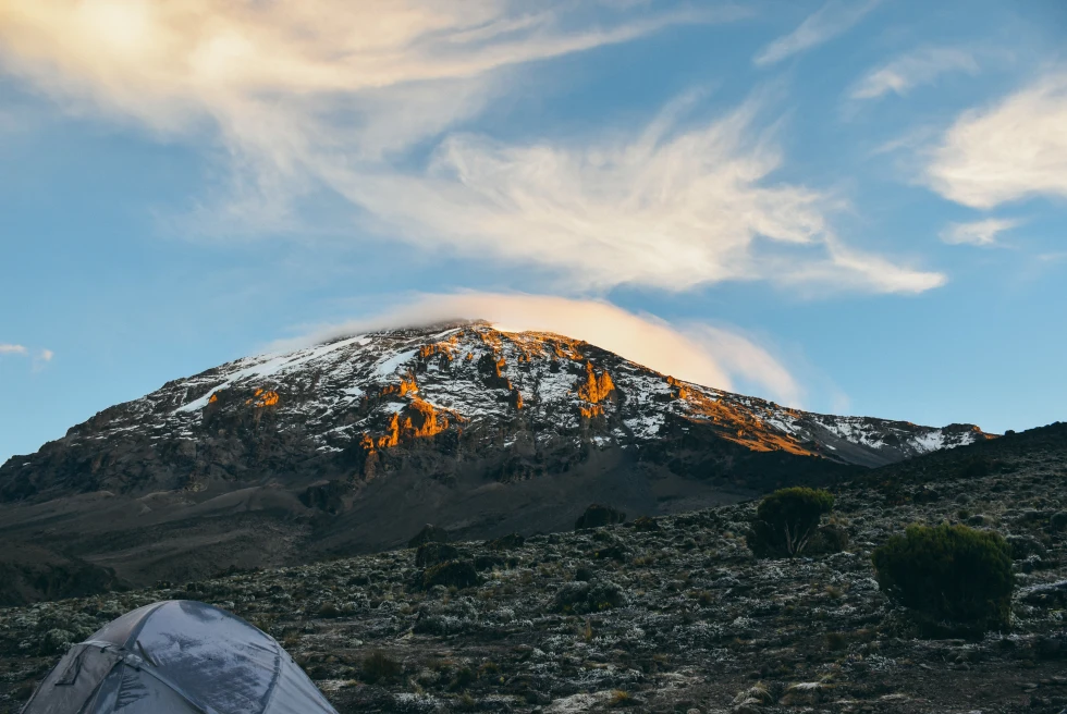 A Two-Week Safari and Mount Kilimanjaro Summit Adventure in Tanzania -  Day 11: 12,303 feet