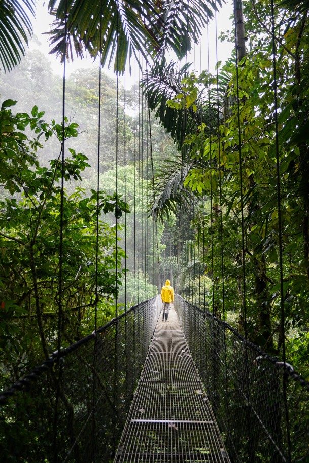 Man in yellow raincoat walking through a lush rainforest in Costa Rica. 