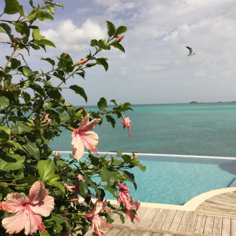 Views of a blue sea from a pool and flower deck. 