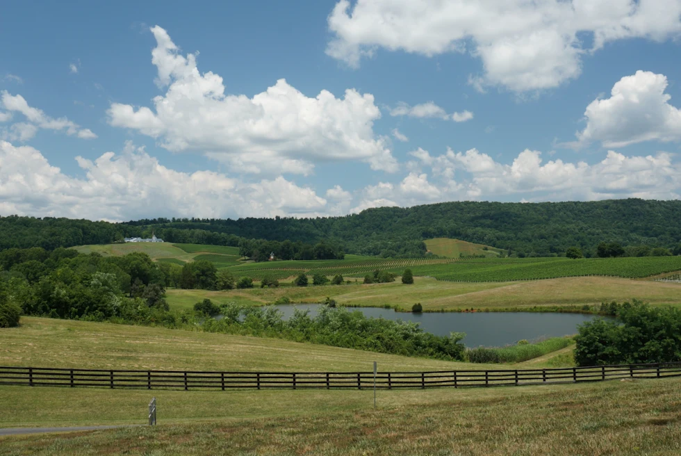 green grass field under a blue sky during daytime