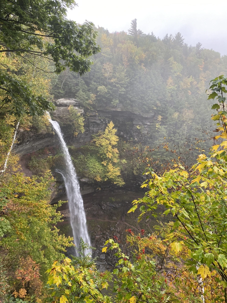 A waterfall amid a lush autumnal countryside