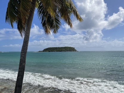 Advisor - From San Juan to Vieques: 5-Days Exploring Puerto Rico