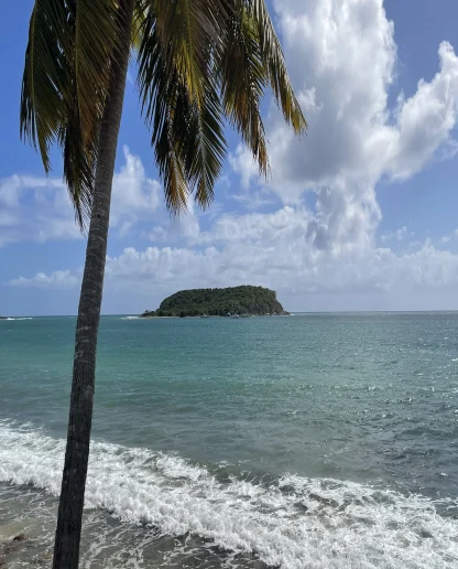 Advisor - From San Juan to Vieques: 5-Days Exploring Puerto Rico